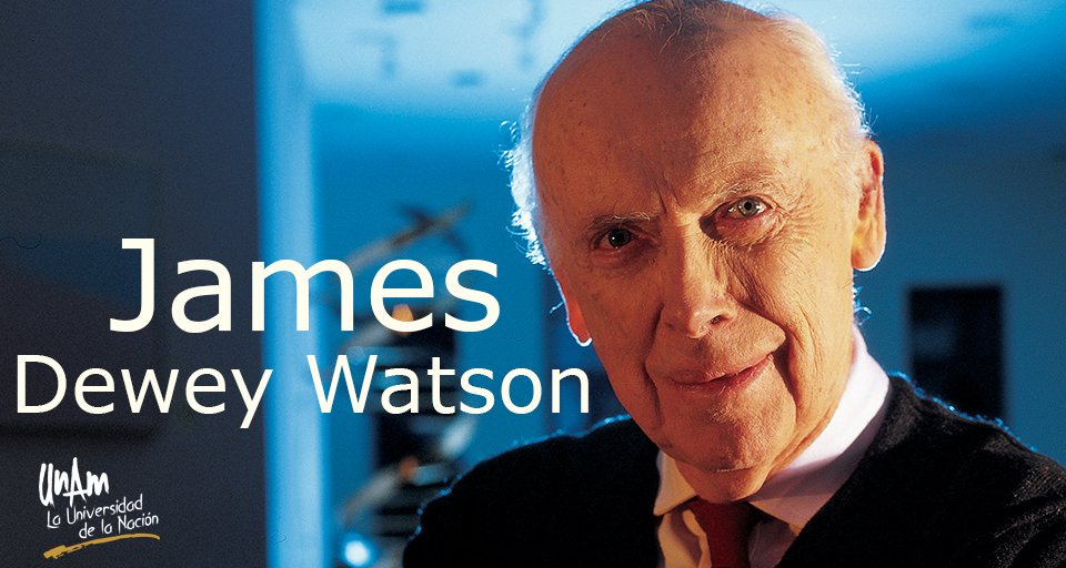 Année De Naissance Du Biochimiste James Dewey Watson UNAM on Twitter: "#UnDíaComoHoy de 1928 nació James Dewey Watson, uno
