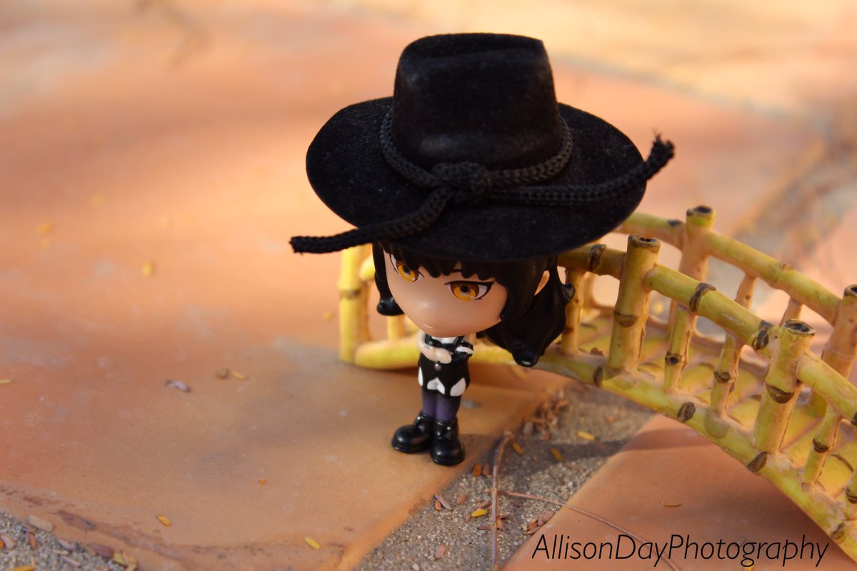 Allison_Day_Luv's tweet photo. RWBY Chibis + a tiny hat I found
#RWBY #RWBYChibi #Chibi #fanphotography https://t.co/K2ZYpUNfkh