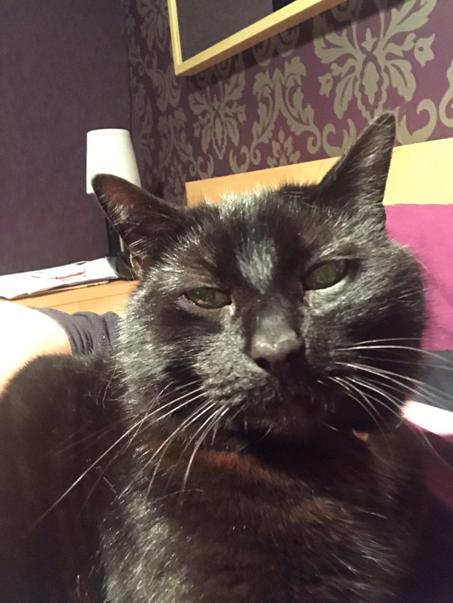 Why would anyone want a black cat for?? Ahhh yeah - that's why!! #zerodaboat #lovintime