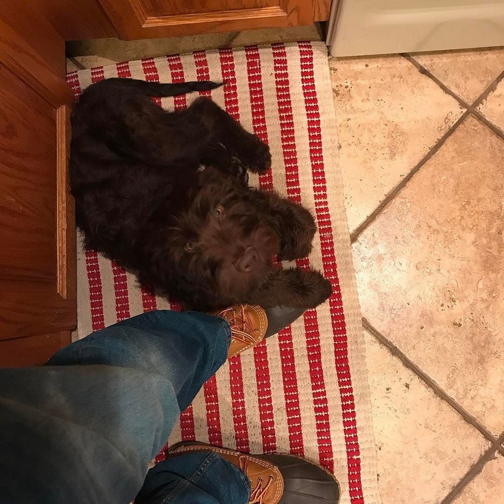 tylerash's tweet photo. @mary_ellen_ash ...it's not just your feet. #ItsWalter https://t.co/xuHqLlCkhW https://t.co/W2sp2JVwHE