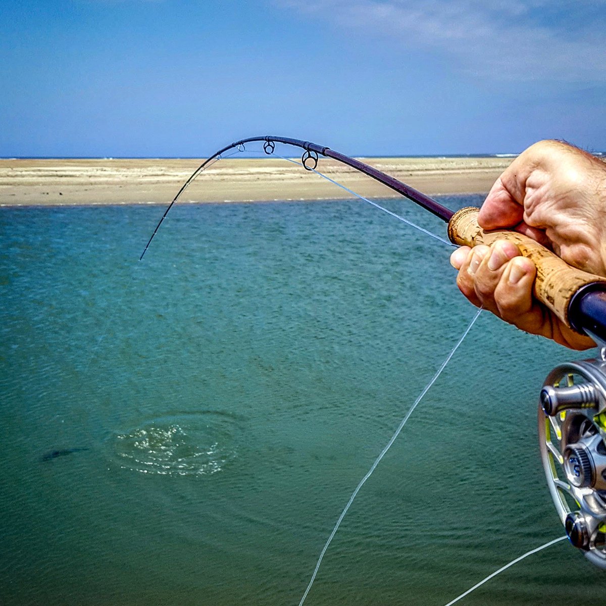 MauserFlyFish's tweet image. Sorry I wasn't able to take your call, I had someone on the other line.
#flyfishing #redfish