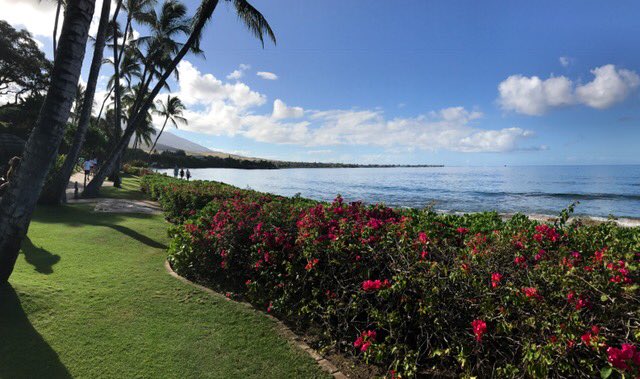 SWSCongress's tweet photo. Celebrating the days shared with our colleagues. Already looking forward to 2018! a hui hou a aloha oe - good bye and thank you #SWSC17 https://t.co/lgdShMp5T6