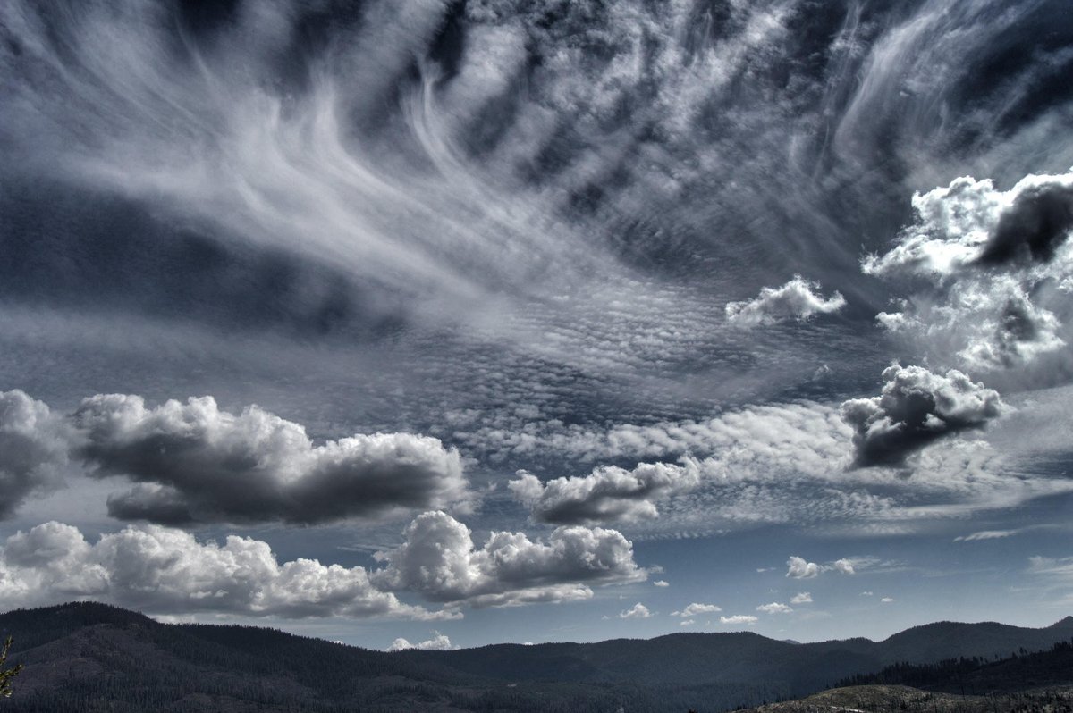 RELEVANCE tweet media