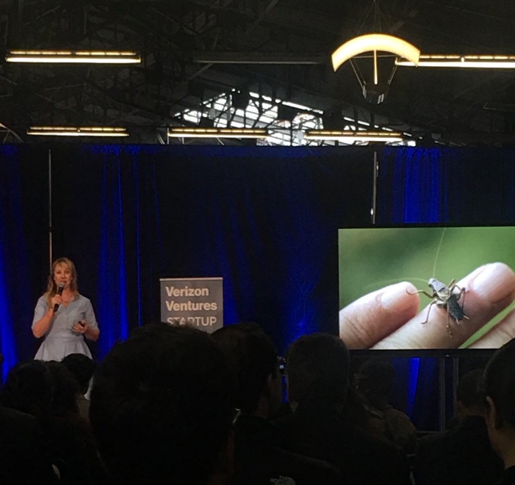 LexInTheCities's tweet image. Get your protein from... crickets?! And good for the gut. Thanks @bittyfoods #launchfestival