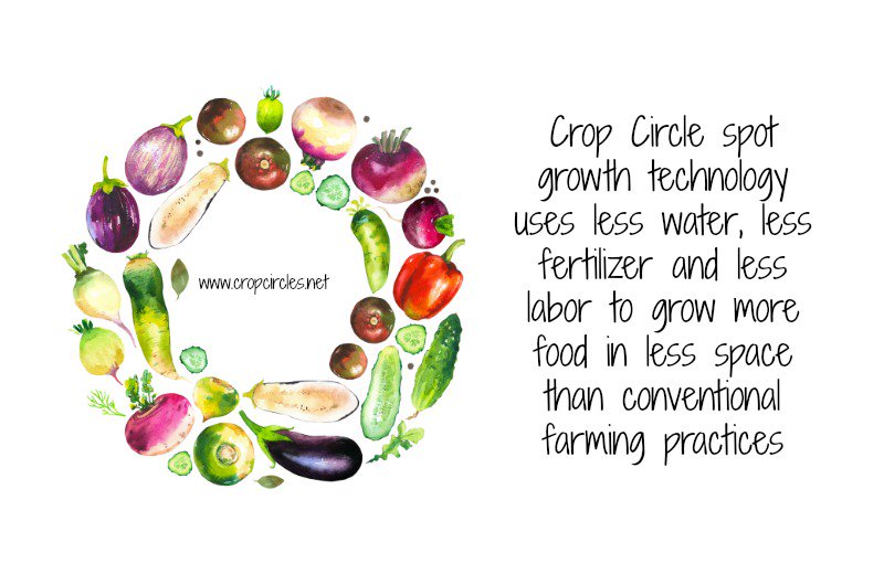 CropCircleFarms's tweet photo. Spot agriculture! #innovation #closedirrigationsystem #urbanfarming https://t.co/lxAvnY2fU4