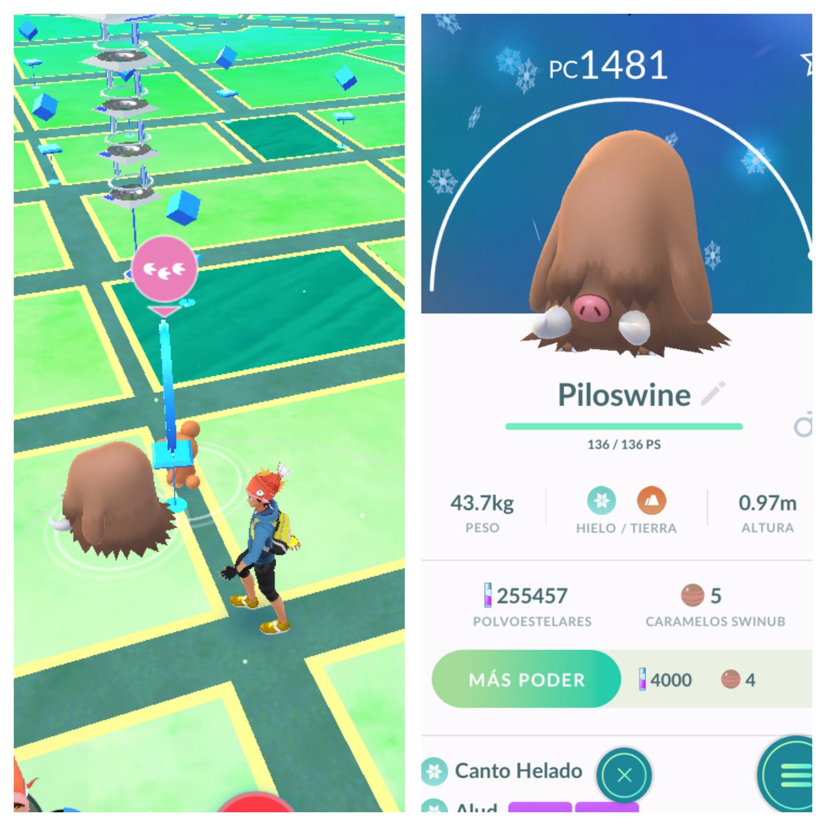 Charmander_Co's tweet photo. Vamos completando la pokedex 2G #FirstCatchFriday #Piloswine #PokemonGO https://t.co/84GggnXyro