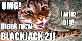 SStatsmann's tweet image. This Blackjack game is AMAZING! Get FREE chips if you install now! #game #blackjack