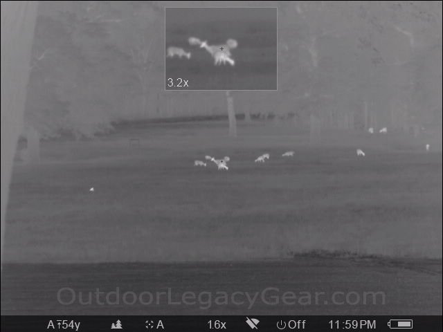 OLGear's tweet photo. Looking at just a "few" deer with the new Pulsar Trail XP50. Picture in Picture function works like a charm. #pulsar #thermal #nightvision https://t.co/DR40BFUIao