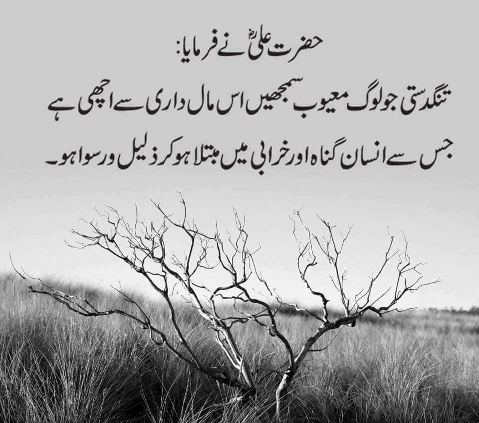shafaqAli19's tweet photo. https://t.co/LdFjutCoYY