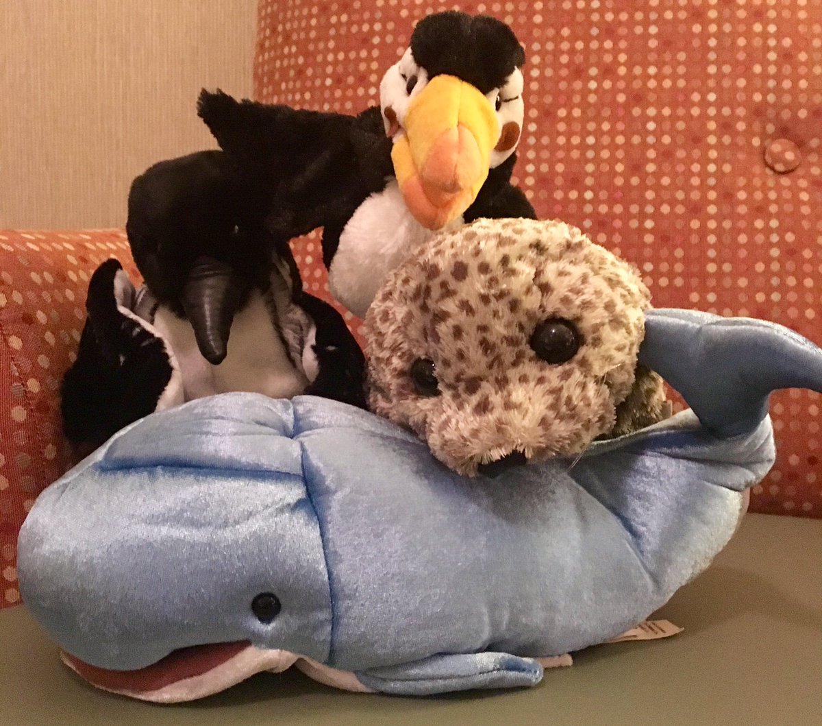 Rebecca North tweet media