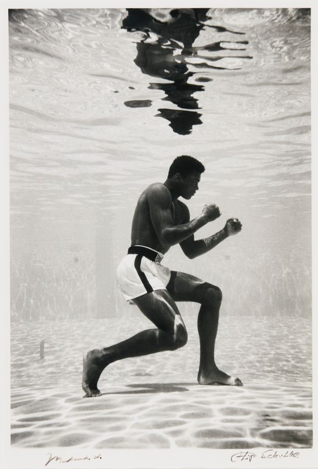 Boxing History (@boxinghistory) on Twitter photo A famous 1961 photo of <a href="/MuhammadAli/">Muhammad Ali</a> shadowboxing underwater by photographer Flip Schulke #boxing #history A famous 1961 photo of <a href="/MuhammadAli/">Muhammad Ali</a> shadowboxing underwater by photographer Flip Schulke #boxing #history