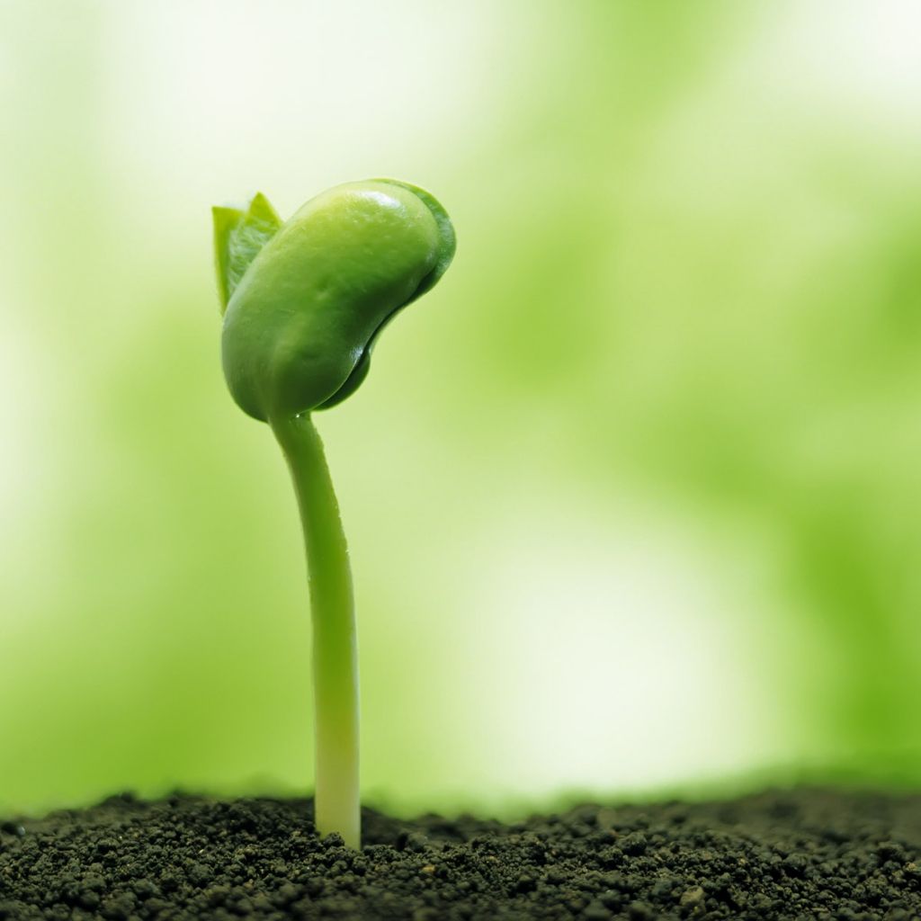 Techbee2019's tweet image. The expert in anything was once a beginner.