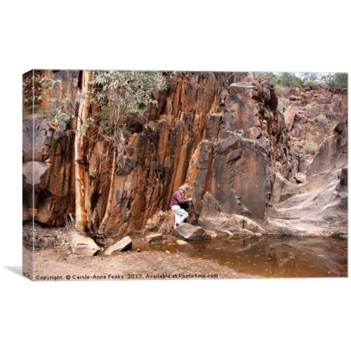 CaroleAnneCAF's tweet photo. I have a new piece of art for sale on https://t.co/V2L3kyOyfS please share and like. https://t.co/hAG8pd1vxQ #landscape#Photo#Australia https://t.co/6jmLKFKNES