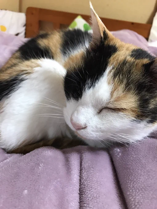 おきろー 