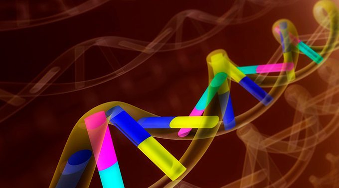 View image on Twitter