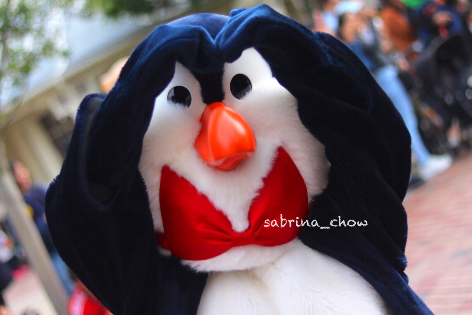 Sabrina Good Morning Hearts From Mr Penguin Hkdl Disneyland Disney Penguin Mrpenguin ペンギンウェイター 香港ディズニーランド ディズニーランド ディズニー T Co 8ixrydzrlv Twitter