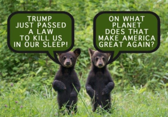 IDAUSA's tweet image. #America just got worse for #bears and #wolves this week.