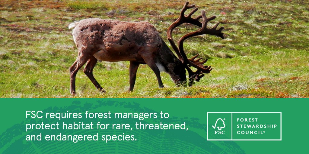FSC_US's tweet photo. 80% of land-based wildlife live in forests. You can do your part to help protect them when you buy FSC certified products. #OneSimpleAction https://t.co/aSbC2bzd9P