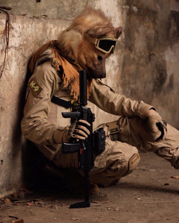 PvtJak's tweet image. Pretty lit.