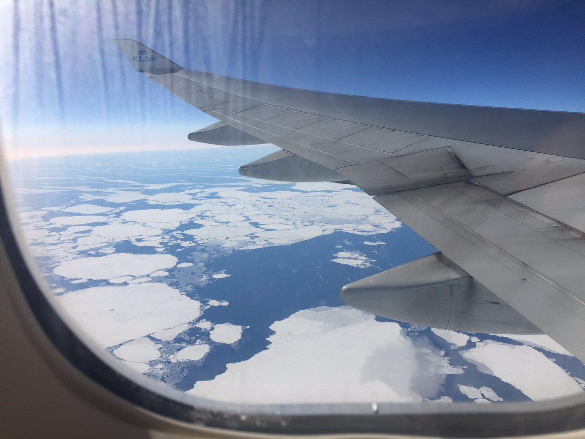 MartinJamesWade's tweet photo. Never flown to #LA &amp; never shared a plane with a horse. Made #747 smell of the countryside as we flew over Arctic. https://t.co/NzyRmk2jRw