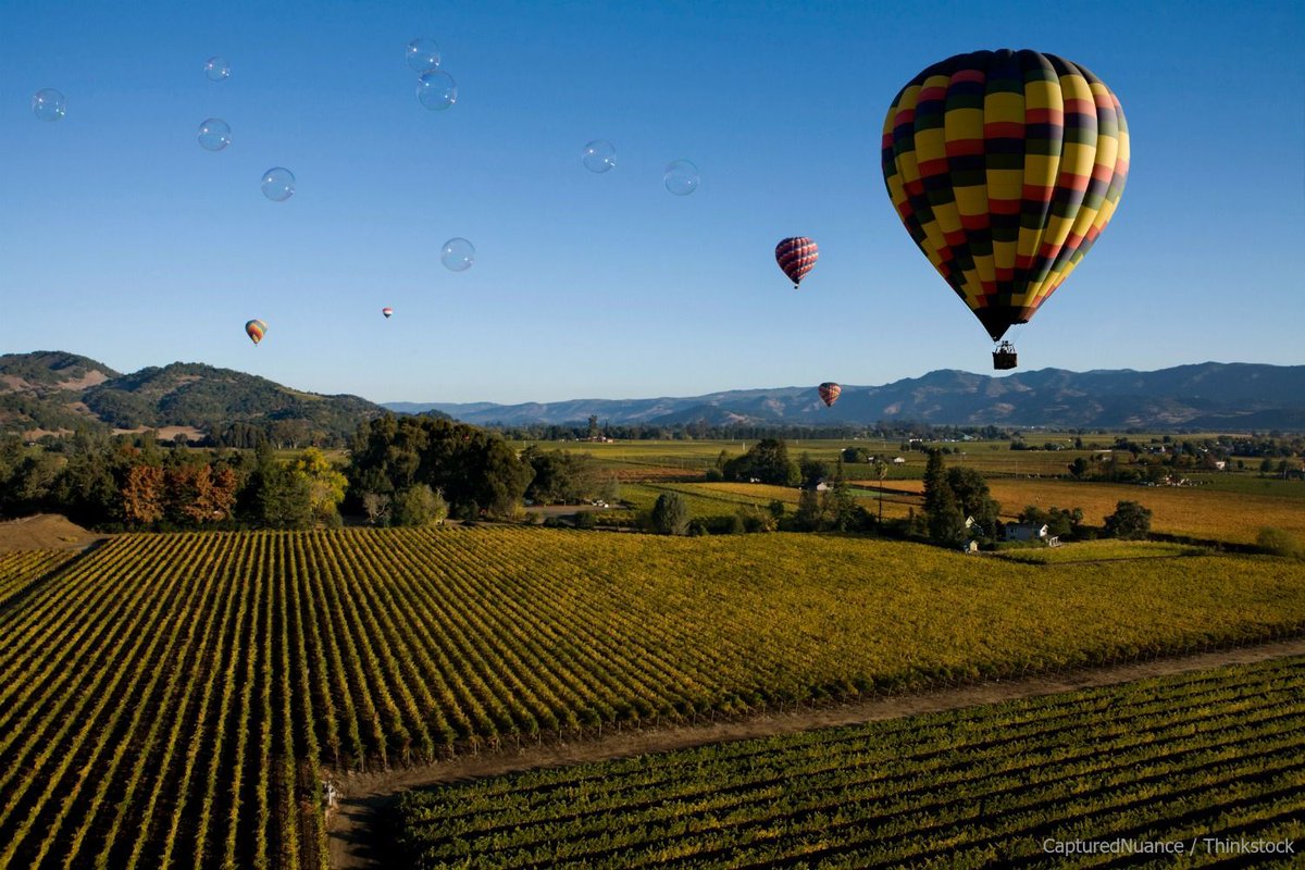 Why not tour #NapaValley in a Hot air Balloon? http://buff.ly/2oFjNsU #Cali...