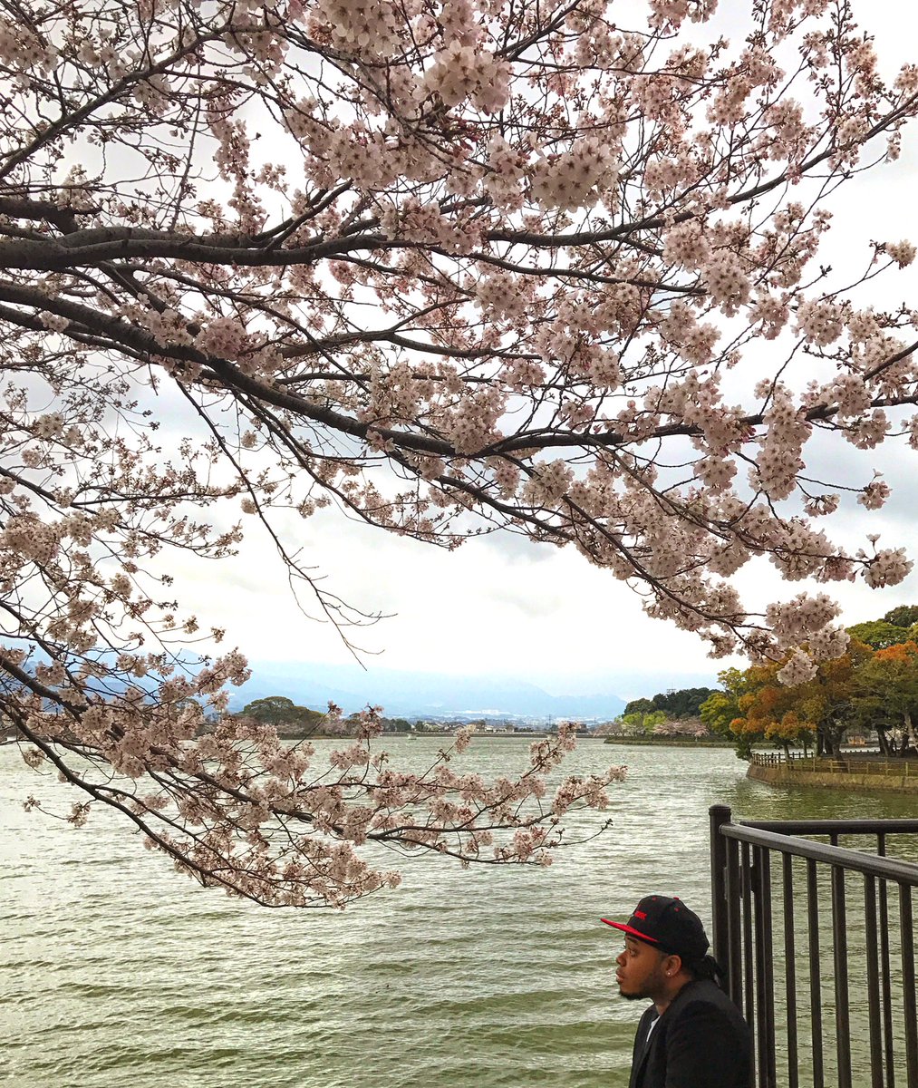 RoroMuzic's tweet photo. 🌸🇯🇵🌸 https://t.co/NFTYoxB05D