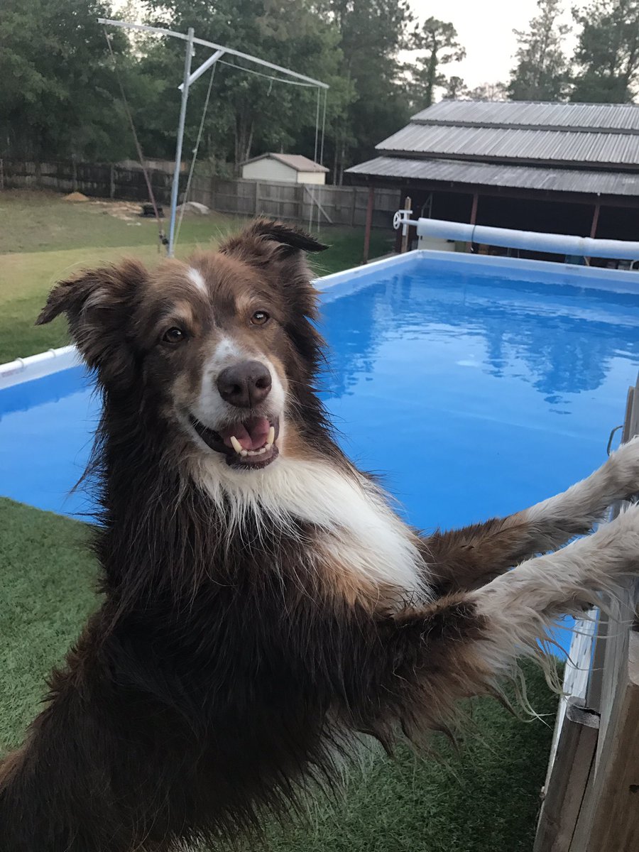 Great speakers, valuable practice info and networking at FVMA Tampa Convention Center  April 6-9