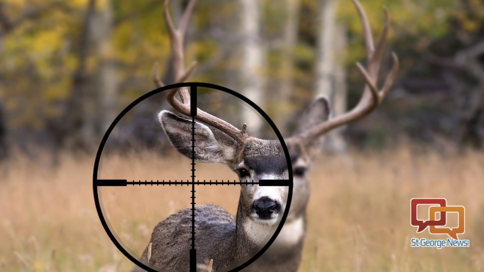 STGnews's tweet photo. Hurricane mayor enters guilty plea #poaching #courts #UtahDWR #deerhunting #StGeorge #SoUtah
https://t.co/wEJqyXikOy https://t.co/VtSgBUXGvB