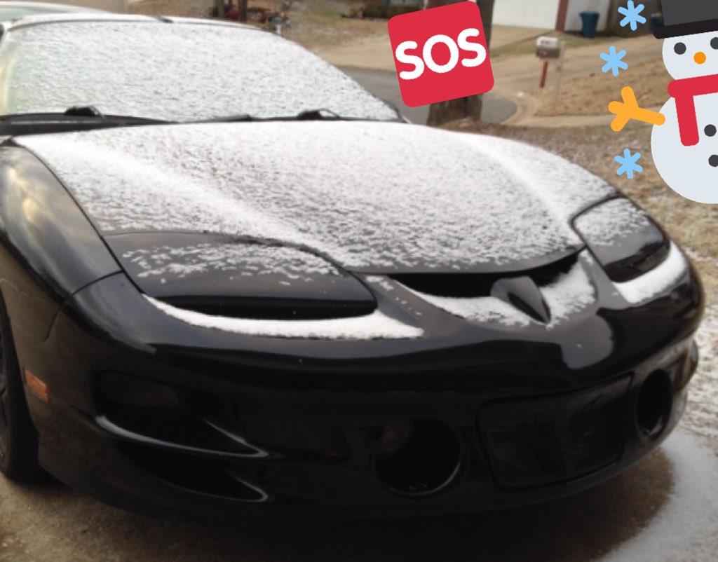 AngryTransAm's tweet image. When It's Spring and you have my Owner! #ThatsCold #OwnerAbuse 

#AngryTransAm