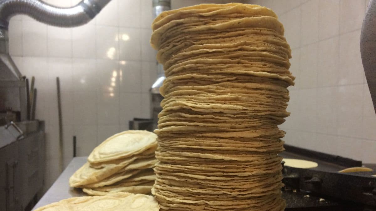 infobaemexico's tweet photo. La tortilla mexicana en crisis: menos nutritiva y con menos ventas https://t.co/yhrDtD7mWD https://t.co/cVt8Kxrclj