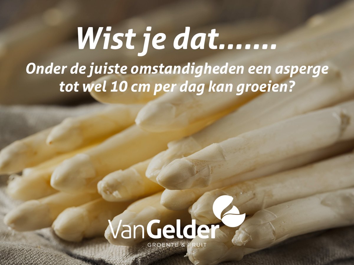 Van Gelder groente & fruit tweet media