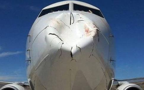 vijayanands's tweet image. Thats a bird hit on a plane. Apparently this whole bird problem is a real concern in most airports. Hmm. #problemstatement