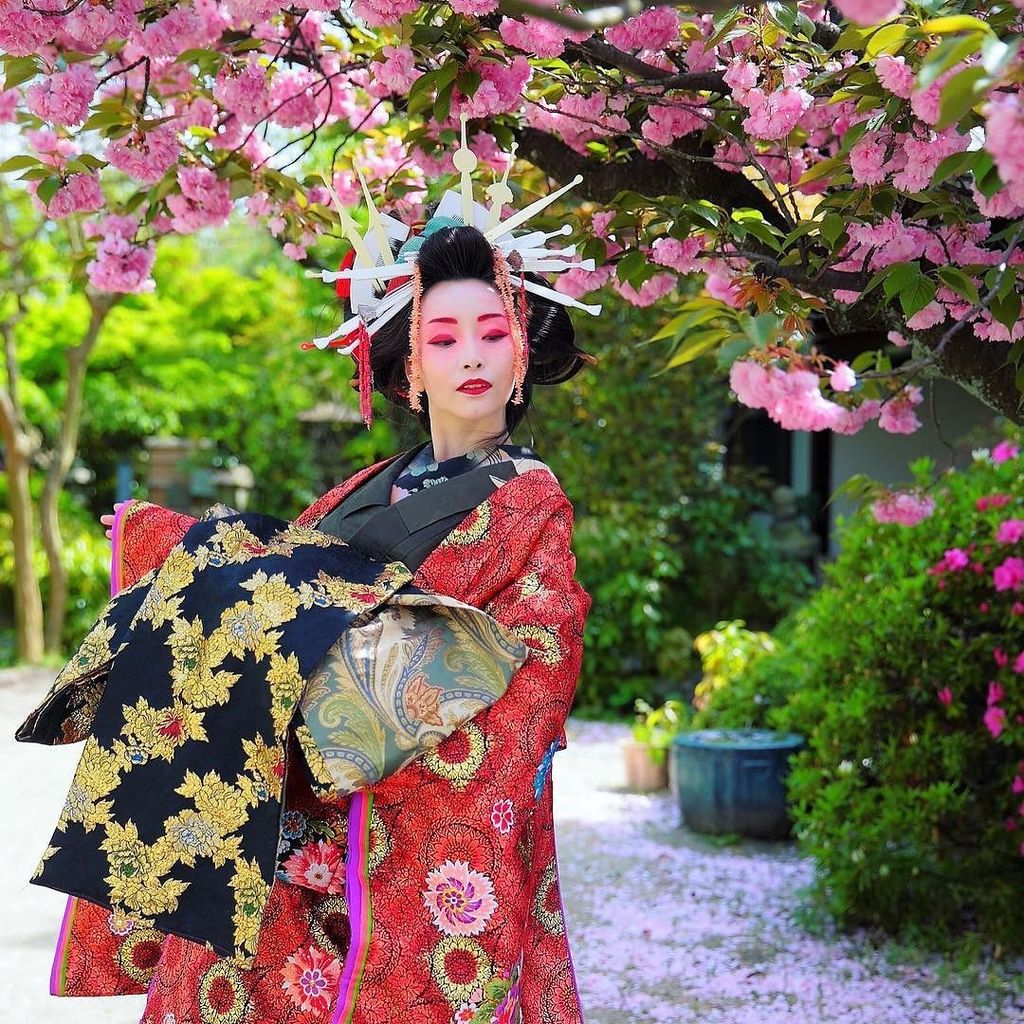 佐々木 あさひ No Twitter 八重桜が好きです By Boss Aurouge Happyshoot Happyshootjacky 桜 Cherryblossom Hanami Oiran お花見 花魁体験 八重桜 T Co Vqcowdlsii T Co Tu9wcrkhbs