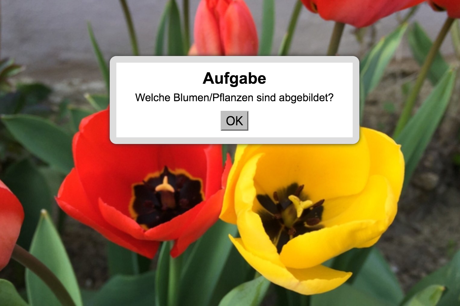 Lernox Liebling Des es Spielerisch Die Namen Der Fruhlingsblumen Abprufen Deutschlernen T Co 96wxqxxjdo Deutschlernen Daf Daz T Co U6aefigeno