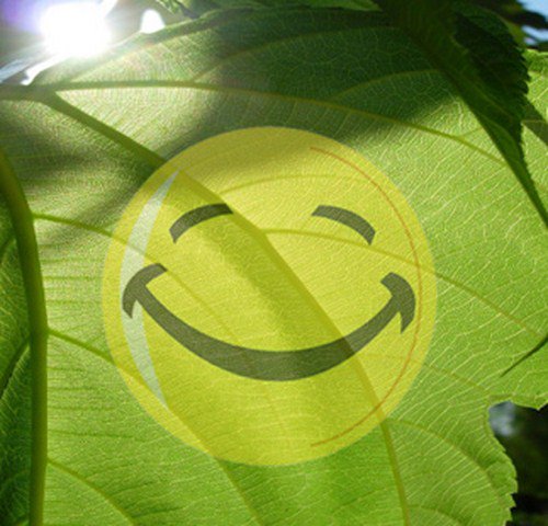 Mediaterre's tweet image. La Stratégie Bas Carbone française : la France première au classement des stratégies de long terme européennes dlvr.it/NqWzFk