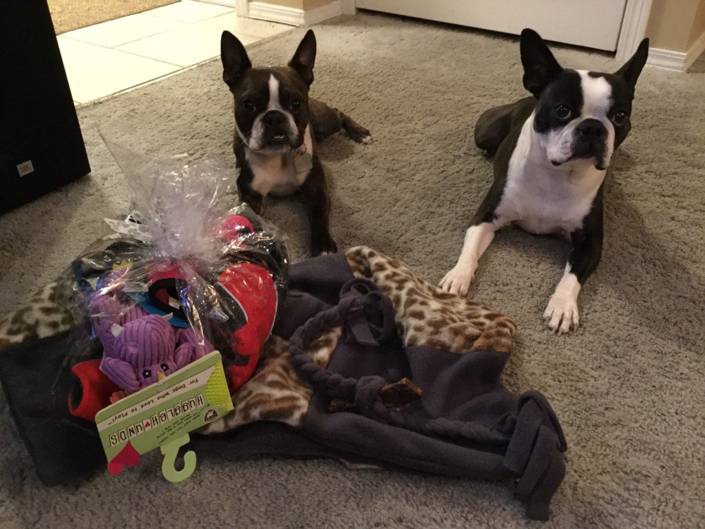 sandbott's tweet image. Wow! We won all this? Thanks @PetPlanetHealth #customerappreciationprize