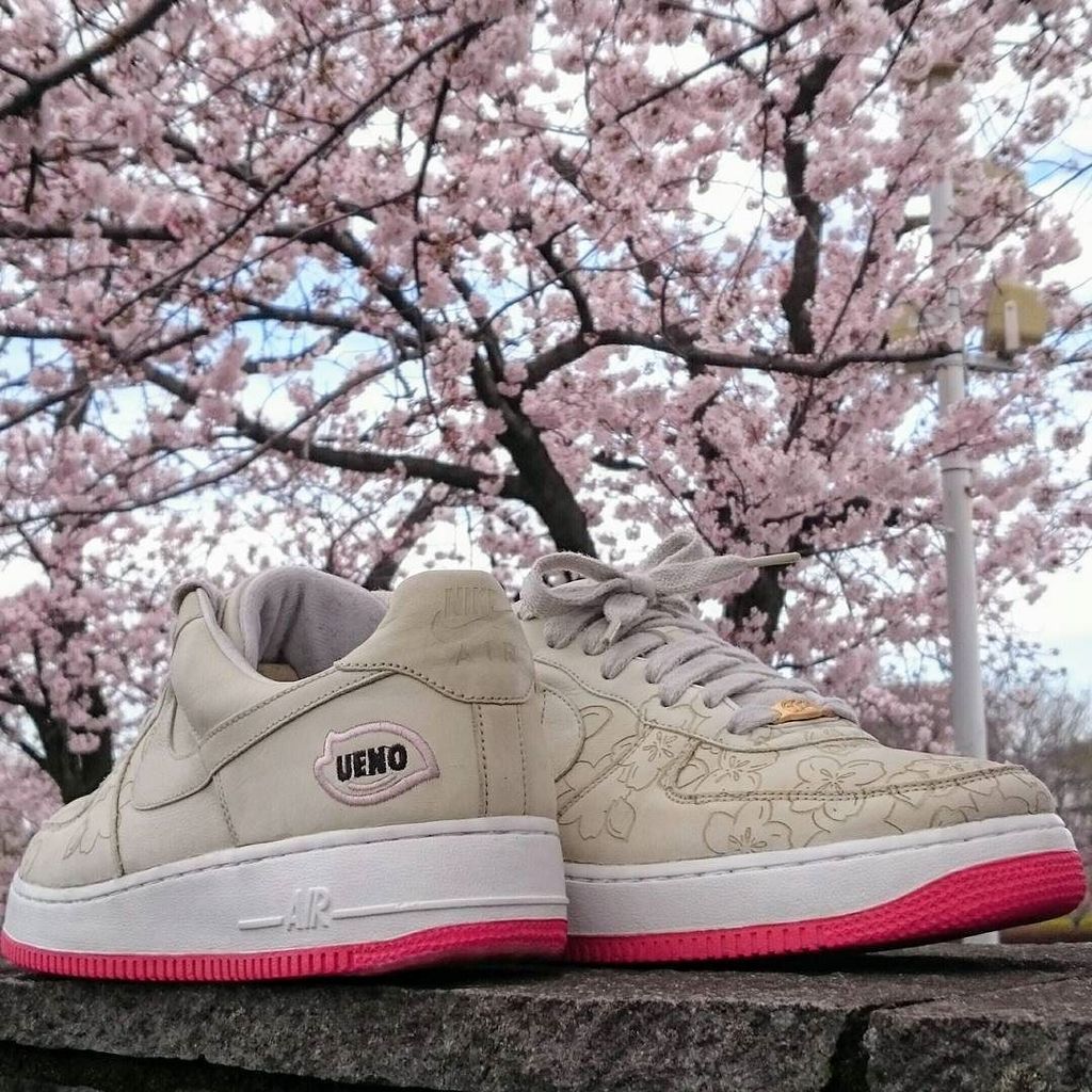 ueno air force 1