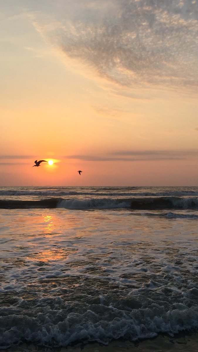 shellear8's tweet photo. Morning  #meditation.  Resting into the sand, feeling #expansion of #motherocean. https://t.co/4Ns2xy1QWd
