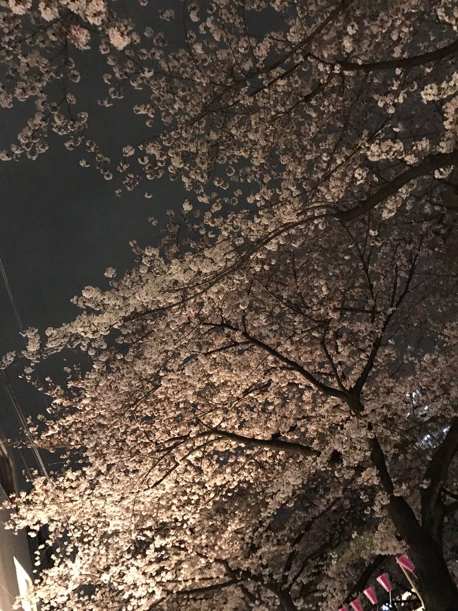 Mai Oshima tweet media