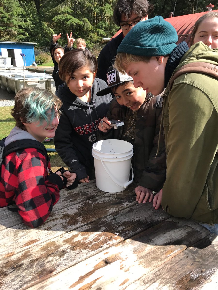 WestmountSS's tweet photo. Algebra and biology, experiential learning at it's best! #ymcaexchange @WestdaleSS @Westmount_HWDSB @kvenizel_wss @HWDSB https://t.co/5DVOw77yqS