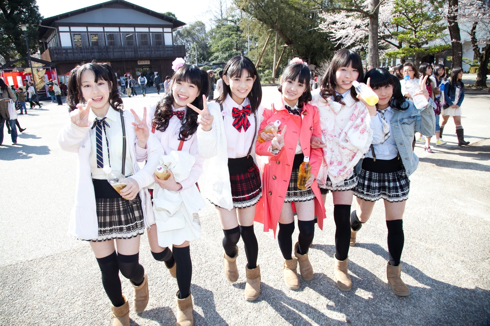 TEAM SHACHI（チームシャチ） on X: 
