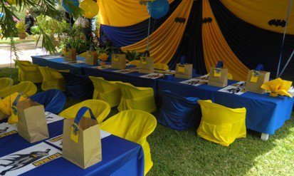WeddeventsByKui's tweet photo. "Am not saying am batman, but no one has seen us in the same room together." #YellowandBlue #Birthdays #EventsByKui #KidzFestival #Batman https://t.co/Z2TLhRala6