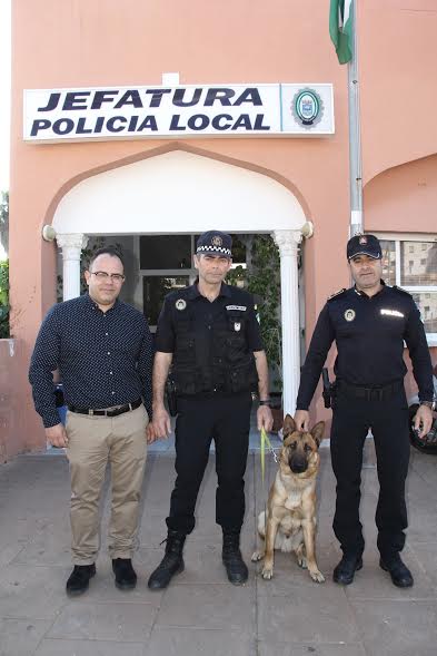La Unidad Canina de la Policía Local de Almuñécar #Almunecar cuenta con un nuevo perro para la lucha #antidroga <a href="/PoliciaAlmuneca/">PolicíaLocalAlmuneca</a>