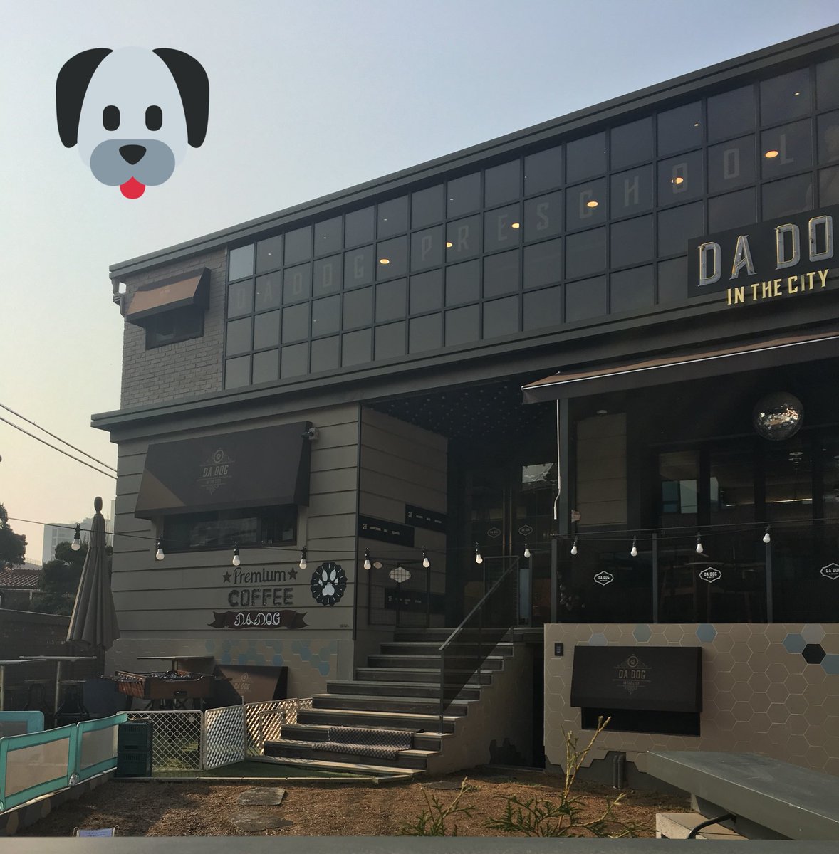 Ally Finals Hiatus On Twitter The Dog Cafe Where Jungkook Met