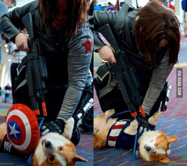 andreevna_a_'s tweet image. Умиляяяюсь :33
#ДжулиеФолловитФандомных