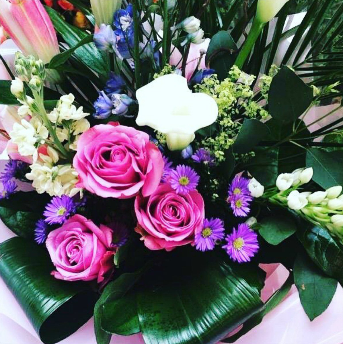 Floral_Scents's tweet photo. Friyay Friday!!! Are you all excited for the weekend? Have a wonderful weekend everyone!  #FloralScentsIE #IrelandFlowers #FridayFlowers https://t.co/Q2ihOTwPKB