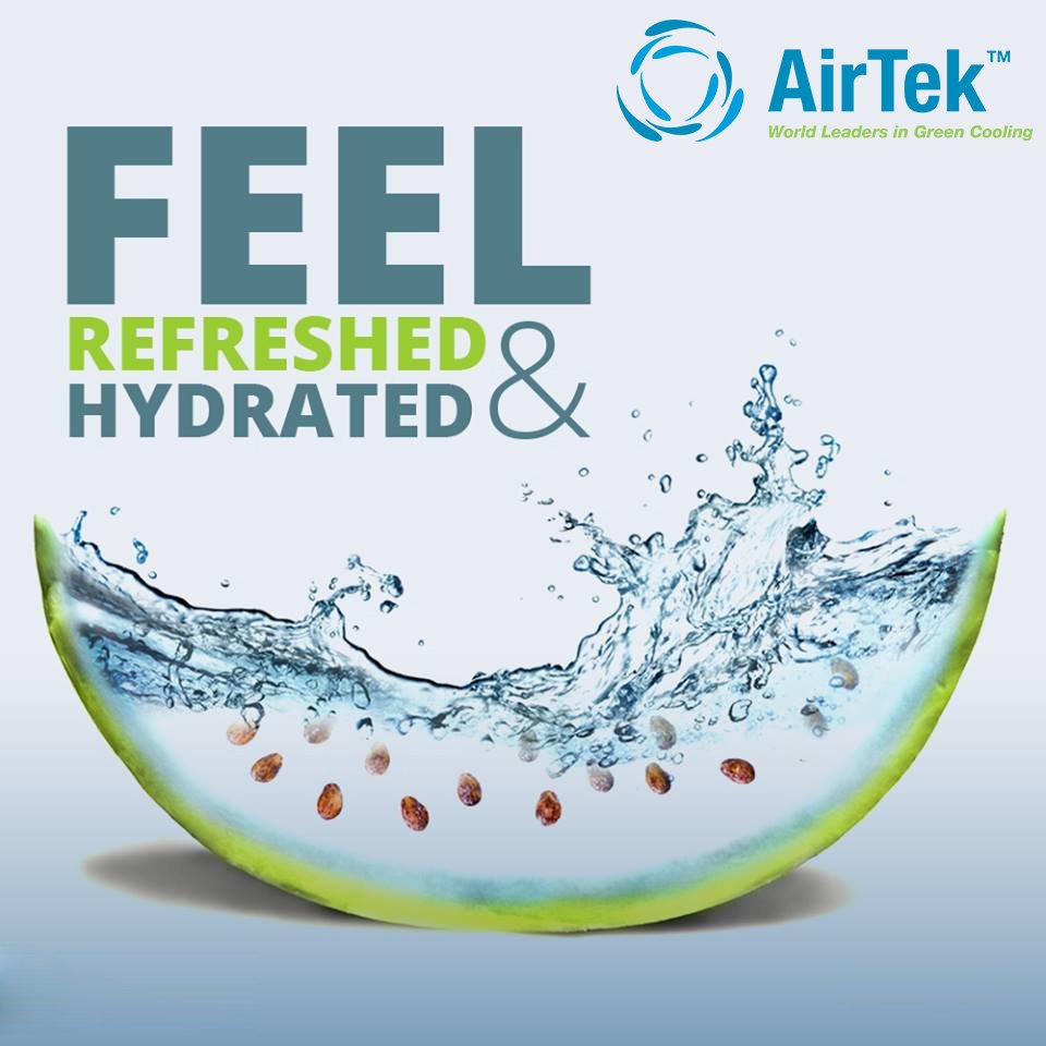AirtekIndia's tweet photo. #AirtekTips: Consume watery foods like watermelon, tomatoes, cucumber, or oranges to feel refreshed and hydrated during summer. https://t.co/p3C4zqavcc