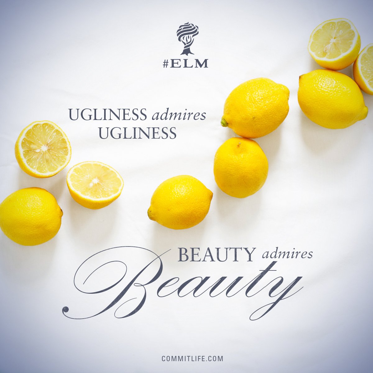 commitlife's tweet image. Ugliness admires ugliness, #beauty admires beauty.