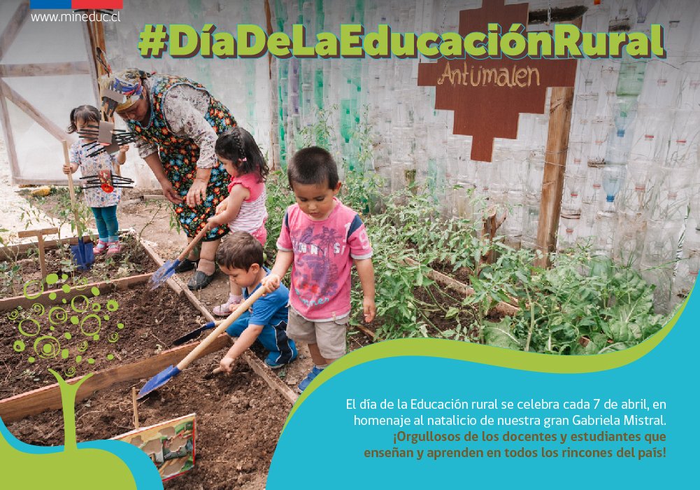 Ministerio de Educación tweet media