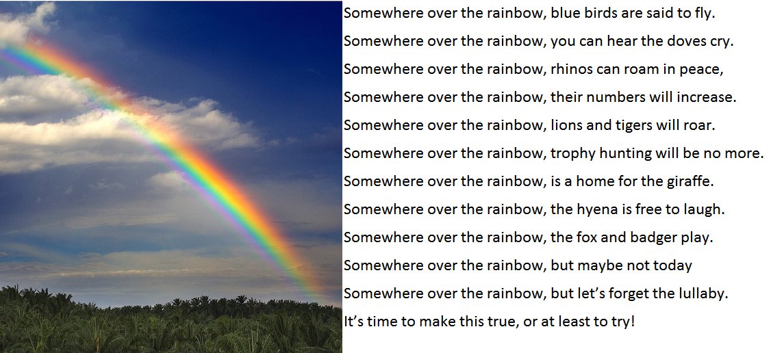 brroks_phil's tweet photo. over the rainbow? https://t.co/tfnhgQqBZH